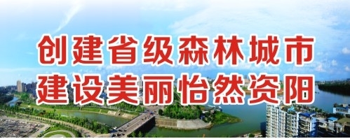 大鸡巴曰骚B创建省级森林城市 建设美丽怡然资阳