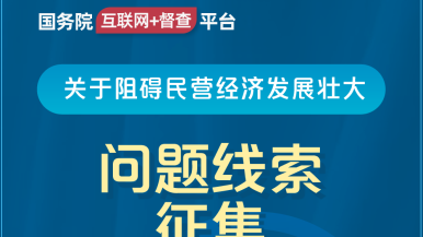 鸡巴骚货国产国务院“互联网+督查”平台公开征集阻碍民营经济发展壮大问题线索